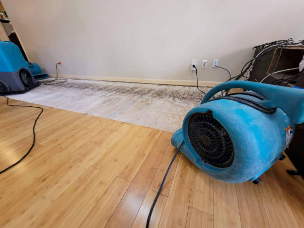 Professional Water Removal technician working in Shawmut, ME